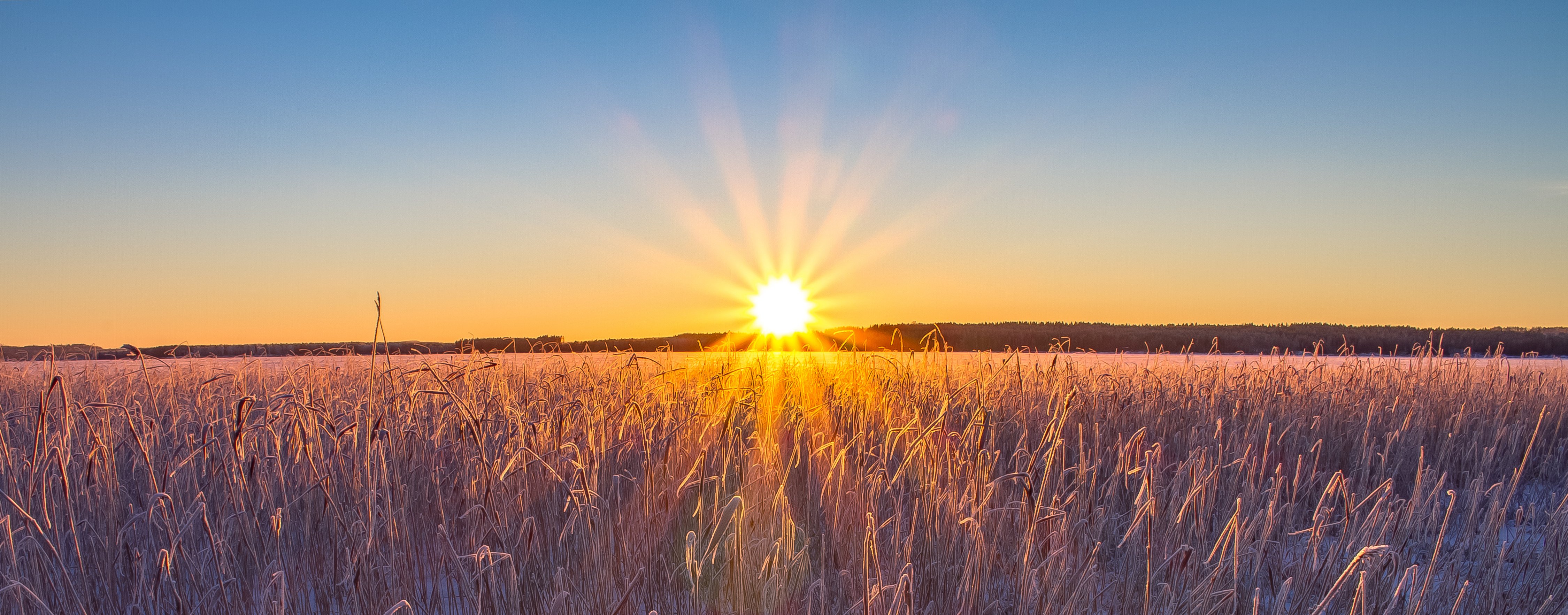 winter sunrise